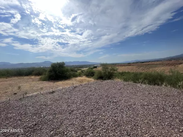 Tonto Basin, AZ 85553,1111 S DREAMVIEW Drive #-