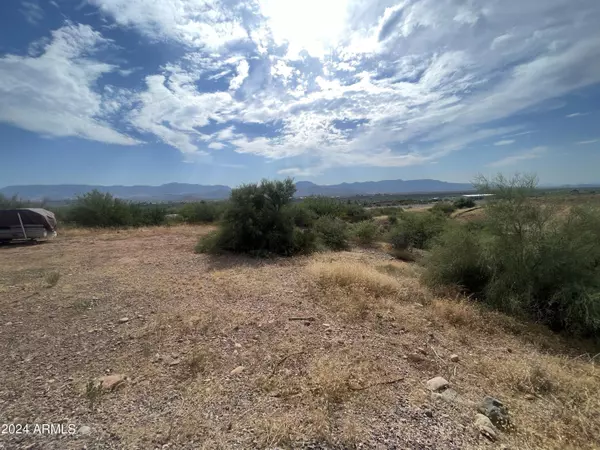 Tonto Basin, AZ 85553,1111 S DREAMVIEW Drive #-