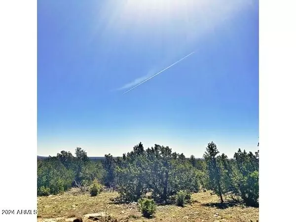 3877 Sunset Ridge Loop #171, Happy Jack, AZ 86024