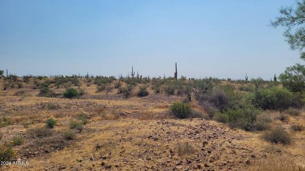 Wittmann, AZ 85361,299 W Smokehouse Trail #96