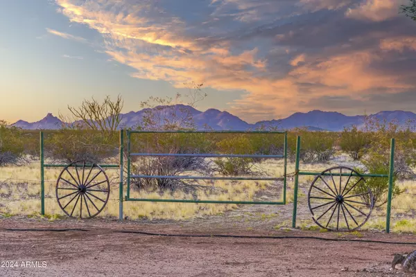 Wickenburg, AZ 85390,35245 S TURTLE CREEK Road