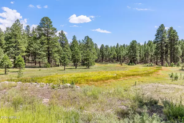 3456 LAURIE Lane #9, Flagstaff, AZ 86005