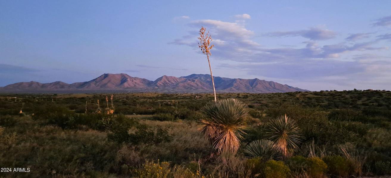 E Adams Ranch Road #003, Dragoon, AZ 85609