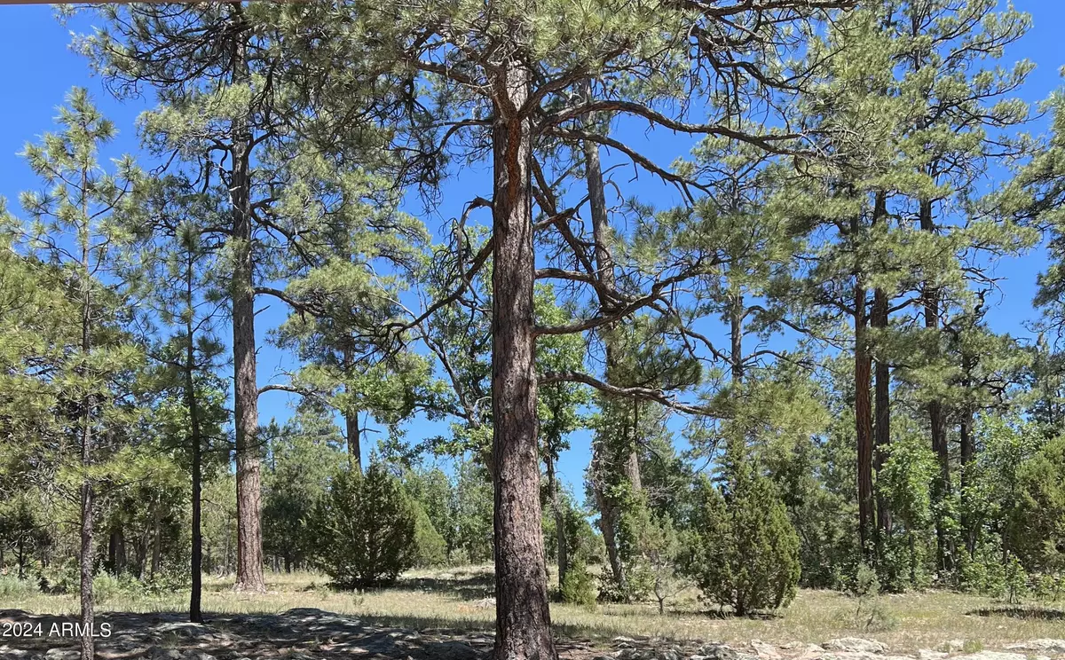 Happy Jack, AZ 86024,2004 SUGAR PINE Drive #206