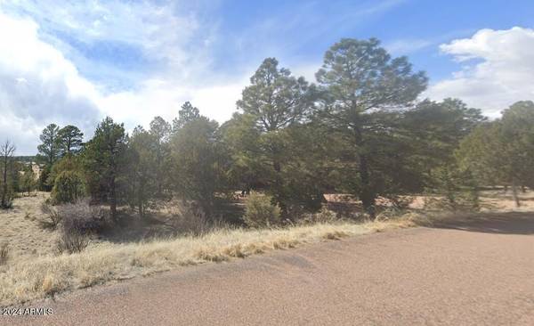 Overgaard, AZ 85933,2223 FAIRWAY Drive #16