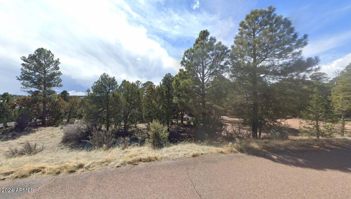 Overgaard, AZ 85933,2223 FAIRWAY Drive #16