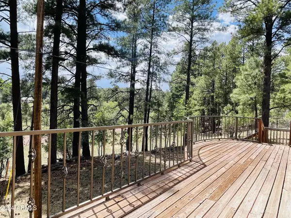 Pinedale, AZ 85934,562 S Spruce Drive