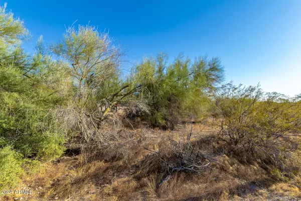 Mesa, AZ 85207,107 E QUARTERLINE Road E #-