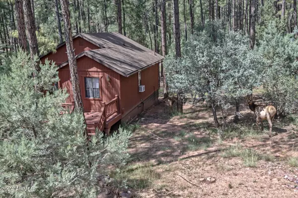 Pine, AZ 85544,3859 N WHISPERING PINE Road N