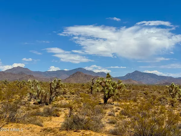 Lake Havasu City, AZ 86406,BILLY THE KID RD. 80 ACRES -- #-