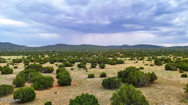 Concho, AZ 85924,4 Co Rd 3049 -- #-