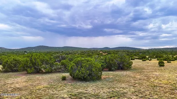 Concho, AZ 85924,4 Co Rd 3049 -- #-