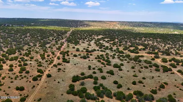Concho, AZ 85924,4 Co Rd 3049 -- #-