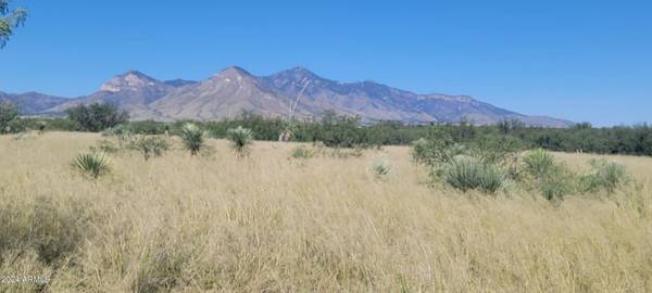 S Apache Sky Road #15,  Hereford,  AZ 85615