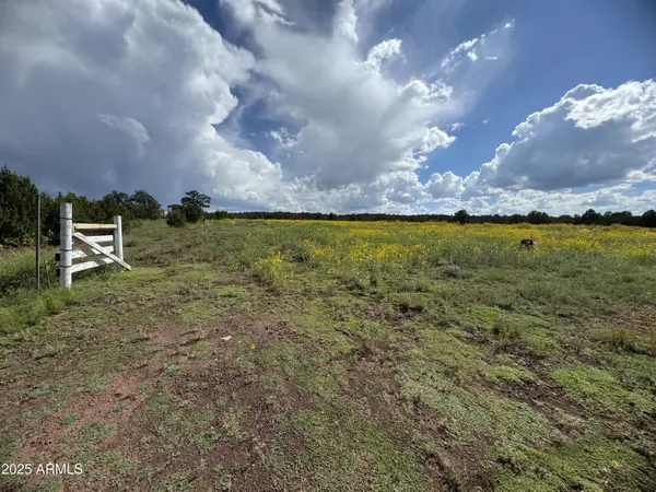 Vernon, AZ 85940,20 County Road 8405, Parcel C -- #B