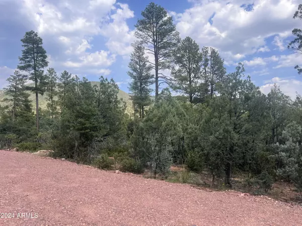 Pine, AZ 85544,0 N Mistletoe Lot R -- #R