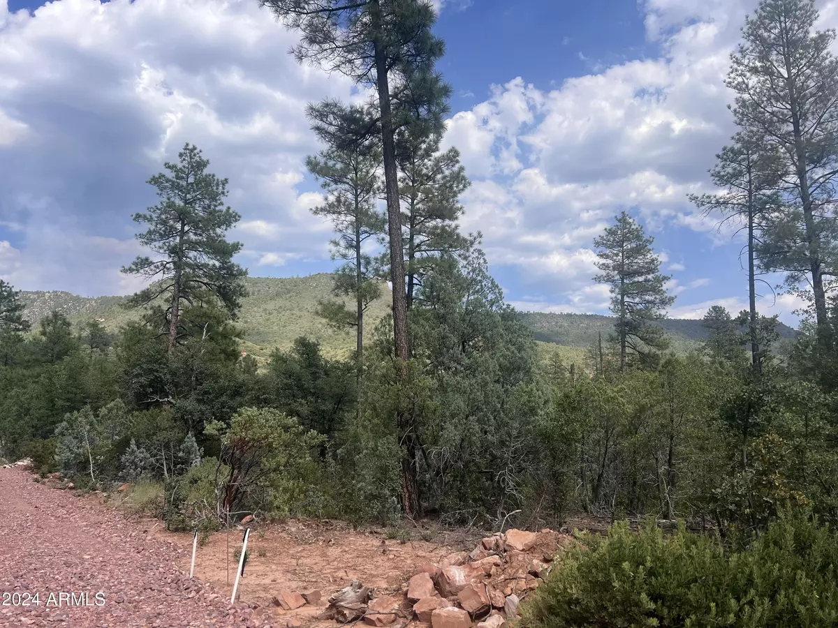 Pine, AZ 85544,0 N Mistletoe Lot R -- #R