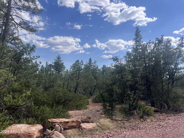 Pine, AZ 85544,0 N Mistletoe Lot R -- #R