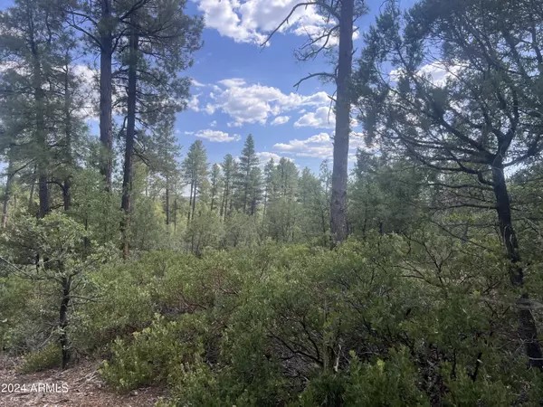 Pine, AZ 85544,0 N Mistletoe Lot R -- #R