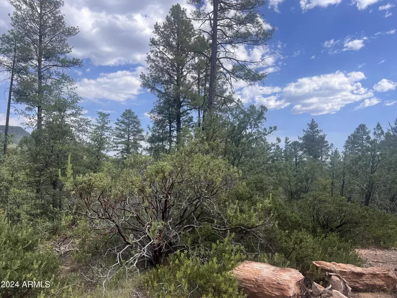 0 N Mistletoe Lot Q -- #Q, Pine, AZ 85544