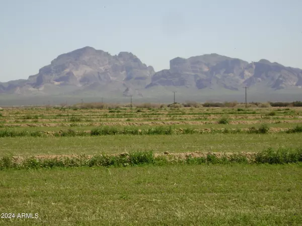 Tonopah, AZ 85354,51628 W ASHTON Street #28