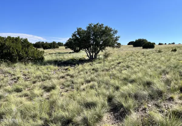 Concho, AZ 85924,14 COUNTY ROAD 5085 -- #-