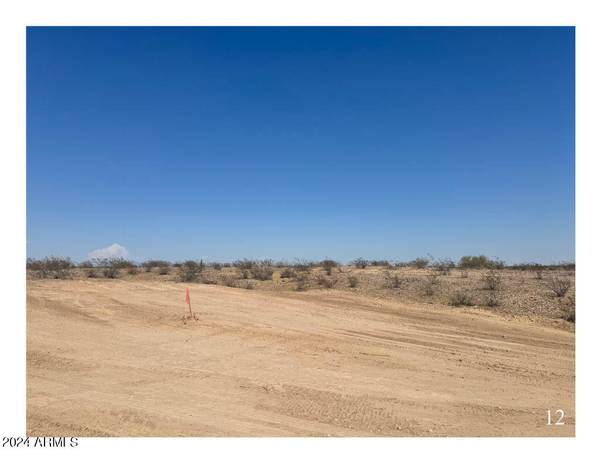 Tonopah, AZ 85354,7841 S 343 Drive #-