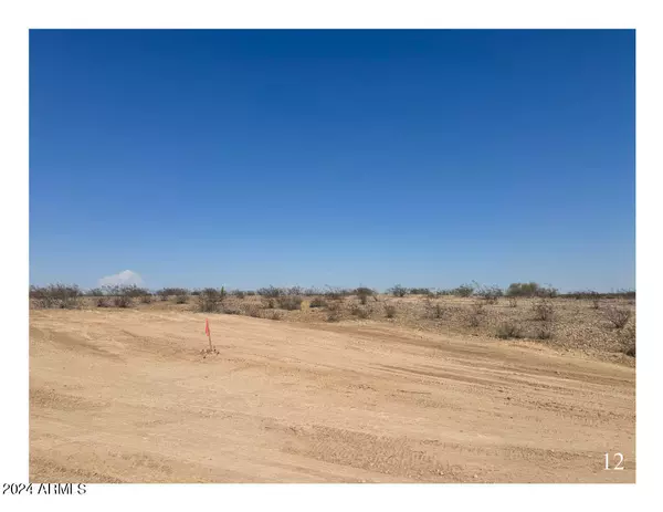 Tonopah, AZ 85354,7820 S 343 Drive #-