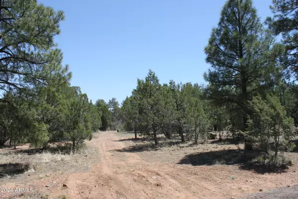 Show Low, AZ 85901,16 Ave 18.2 ACRES -- #5