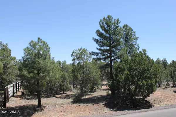 Show Low, AZ 85901,16 Ave 18.2 ACRES -- #5