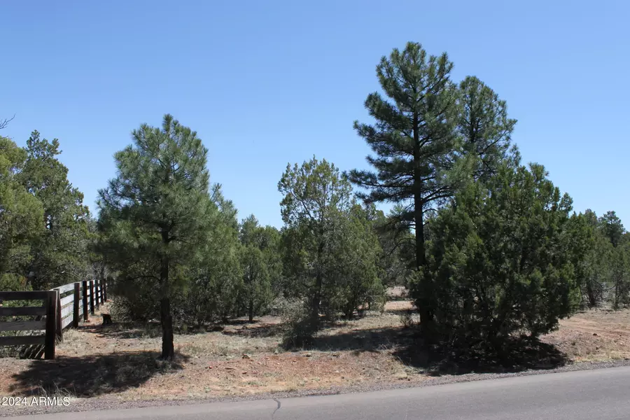 16 Ave 18.2 ACRES -- #5, Show Low, AZ 85901