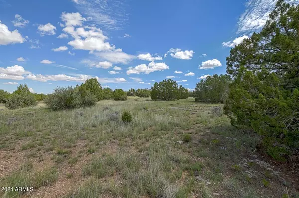 Show Low, AZ 85901,8370 LAKE VIEW Drive #9