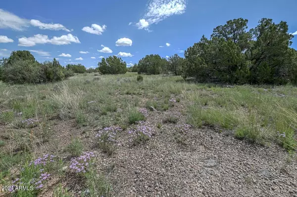 Show Low, AZ 85901,8370 LAKE VIEW Drive #9