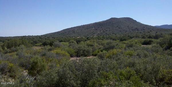 Wikieup, AZ 85360,29 W Carpenter Ranch Road #-