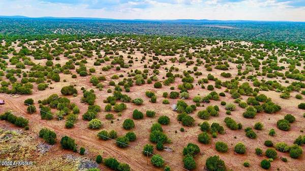 Show Low, AZ 85901,0 Silver Lake Blvd 248.5 Acres -- #-