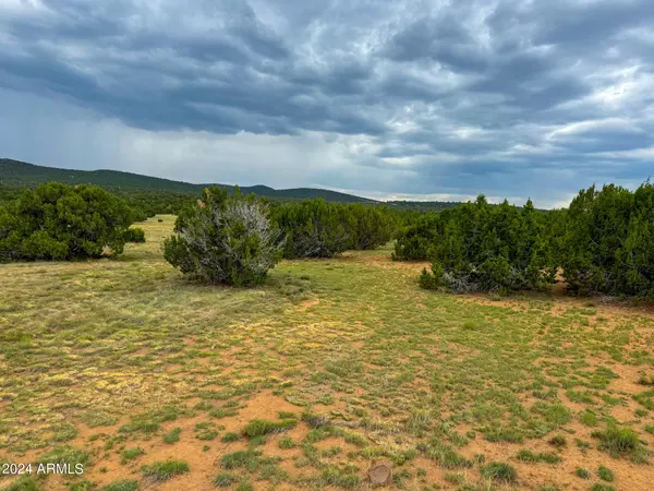 Concho, AZ 85924,26 Co Rd 3048 -- #-