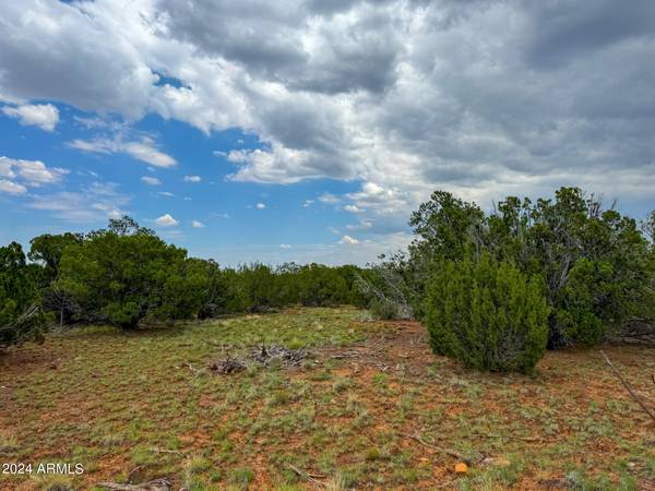 Concho, AZ 85924,26 Co Rd 3048 -- #-