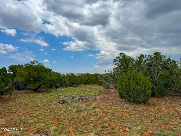 Concho, AZ 85924,26 Co Rd 3048 -- #-