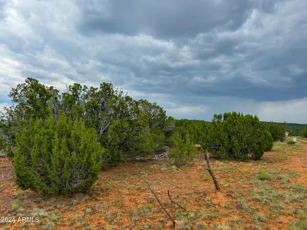 Concho, AZ 85924,26 Co Rd 3048 -- #-