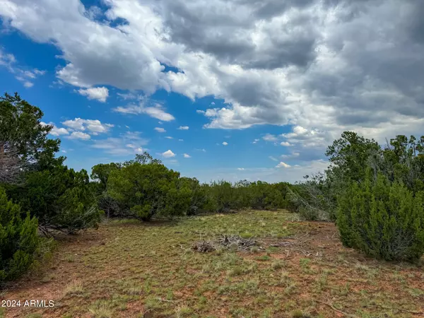 Concho, AZ 85924,26 Co Rd 3048 -- #-