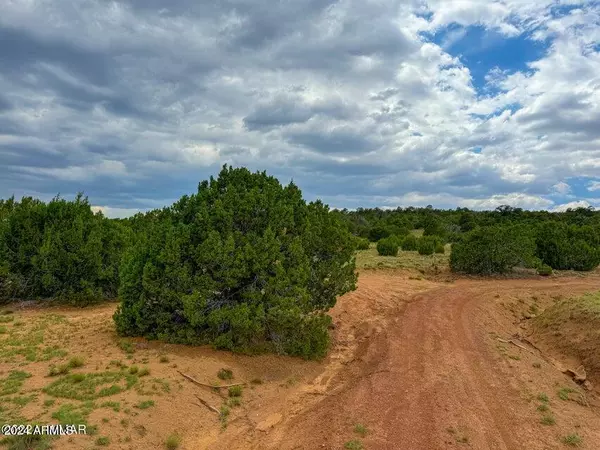 Concho, AZ 85924,2226 Co Rd 3048 -- #-