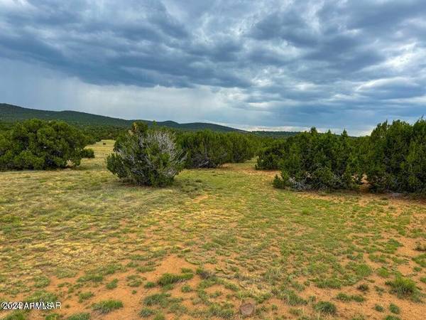 Concho, AZ 85924,2226 Co Rd 3048 -- #-