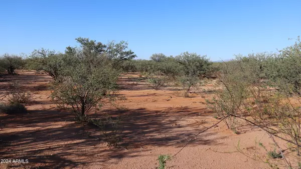 Sierra Vista, AZ 85650,Lashata Lane #-
