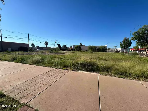 Douglas, AZ 85607,833 N G Avenue #17