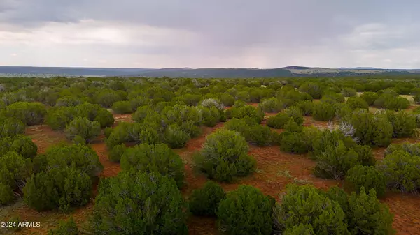 Show Low, AZ 85901,REBEL YELL RD. 10 ACRES -- #-