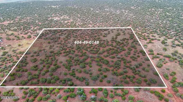 Show Low, AZ 85901,REBEL YELL RD. 10 ACRES -- #-