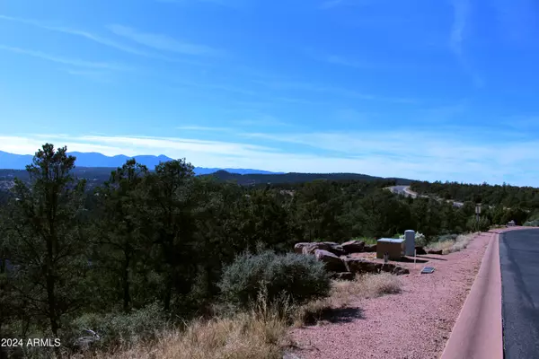 Payson, AZ 85541,1005 W Falcon Lookout Lane #10