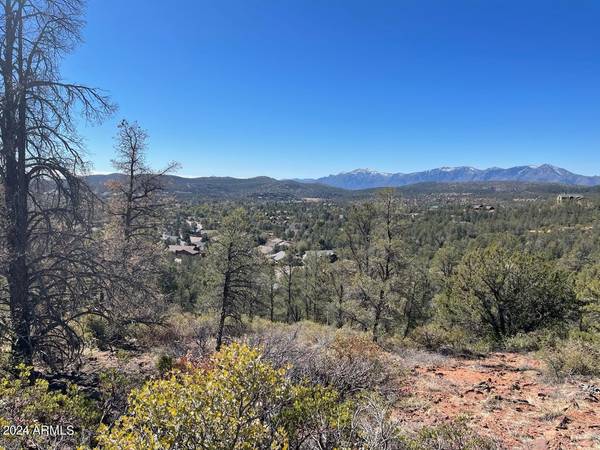 Payson, AZ 85541,1005 W Falcon Lookout Lane #10