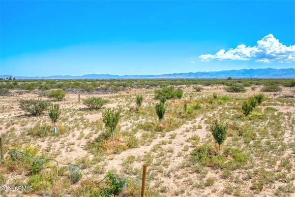 Pearce, AZ 85625,13684 S Tyree Road #70