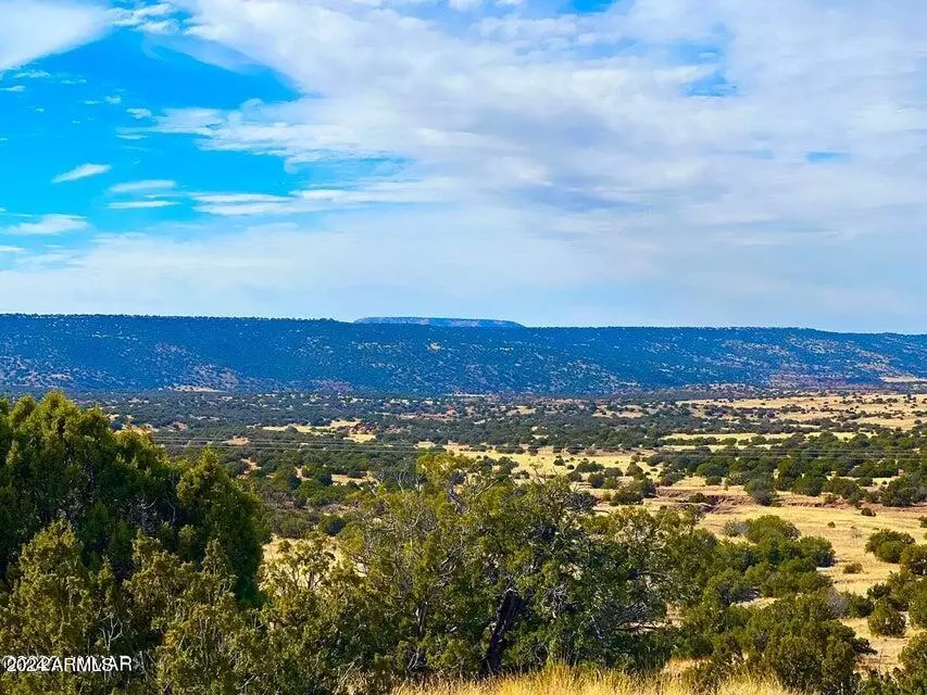 Concho, AZ 85924,Co Rd 5062 2.39 Acres -- #-